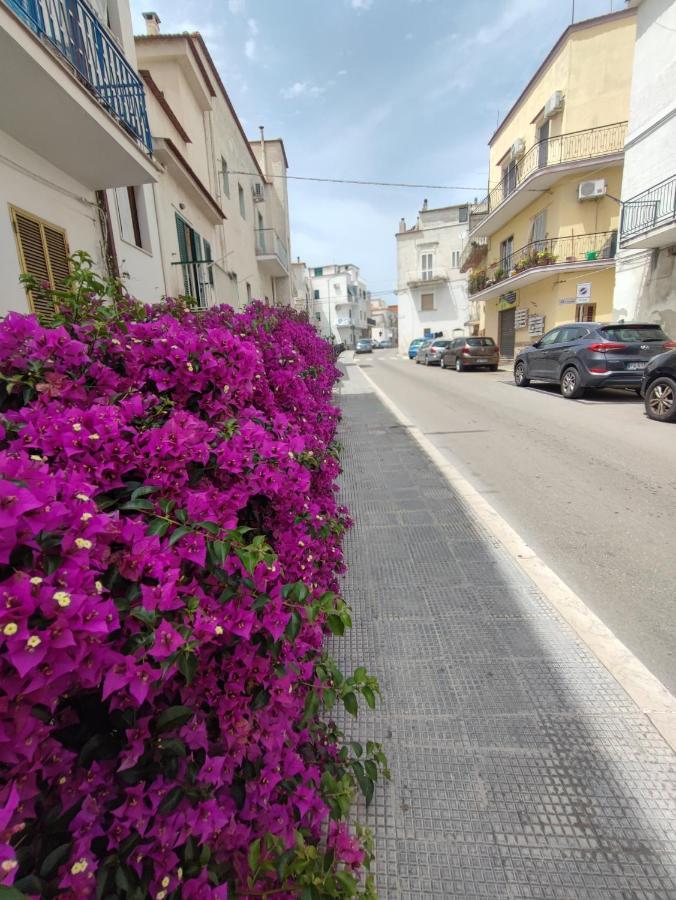 Villa Apulian Dream Peschici Esterno foto